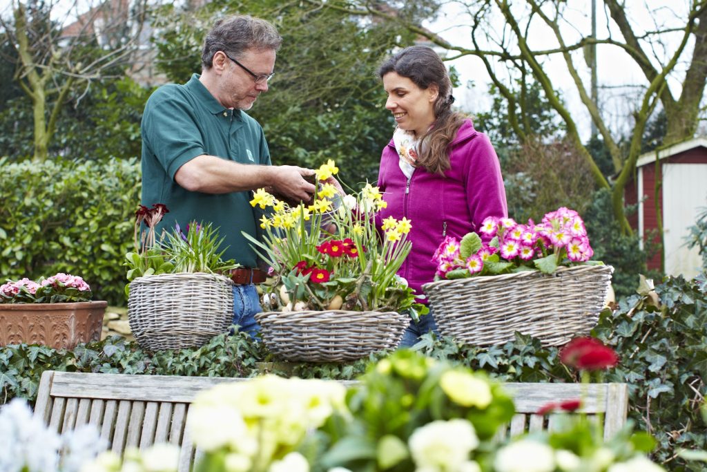 Frühlingshafte Vielfalt im Garten: Narzissen und Primeln sorgen in dekorativen Körben für leuchtende Farben und machen Lust auf die neue Gartensaison. Bildnachweis: GMH/FGJ
