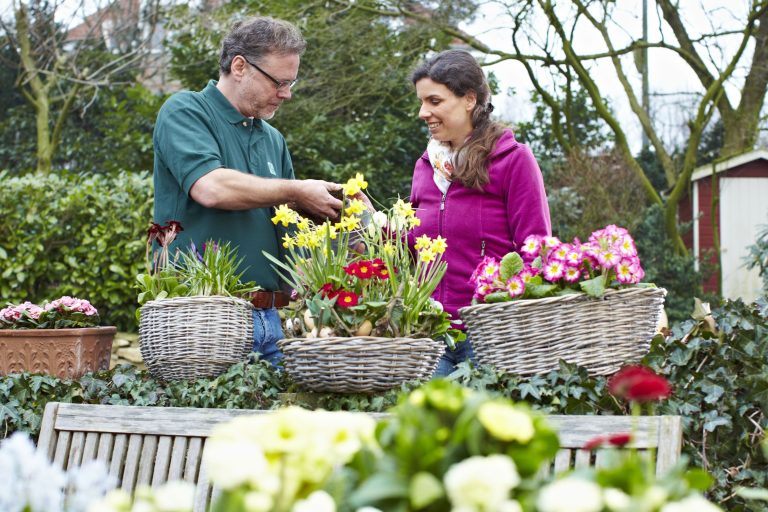 Frühlingshafte Vielfalt im Garten: Narzissen und Primeln sorgen in dekorativen Körben für leuchtende Farben und machen Lust auf die neue Gartensaison. Bildnachweis: GMH/FGJ